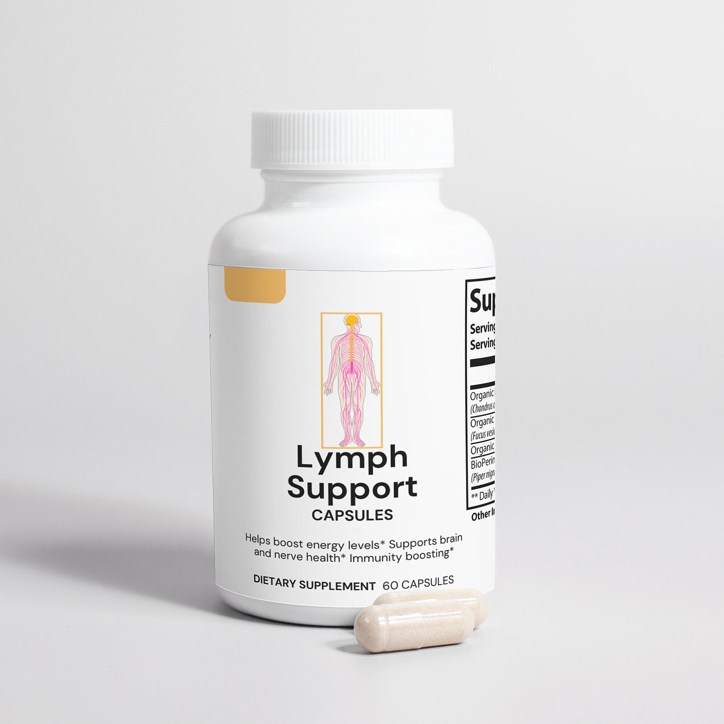 Lymph System Support