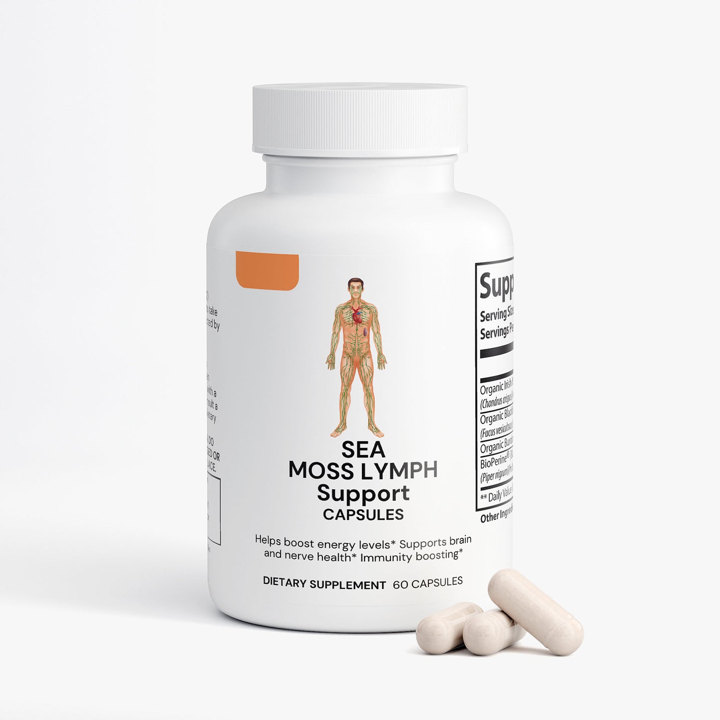 Lymph System Support