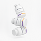 Lymph System Support